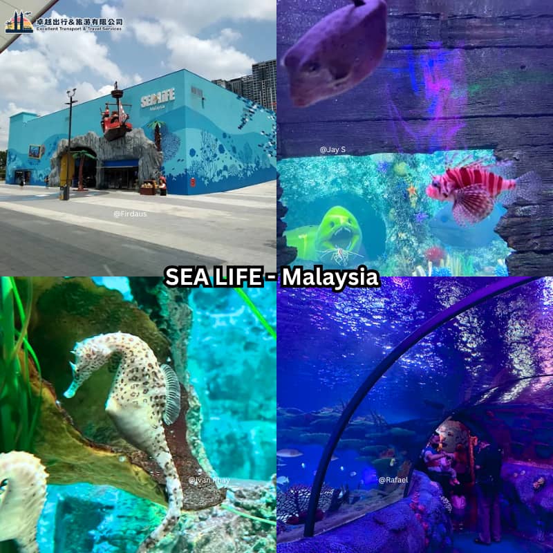 SEA LIFE Malaysia aquarium